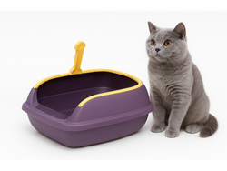 Arenero Para Gato CHETO Chico Morado