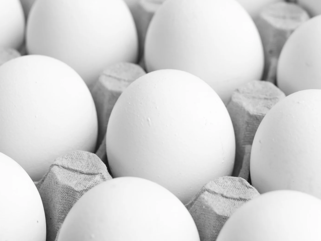 MAPLE HUEVO BLANCO (SOLO EFECTIVO)