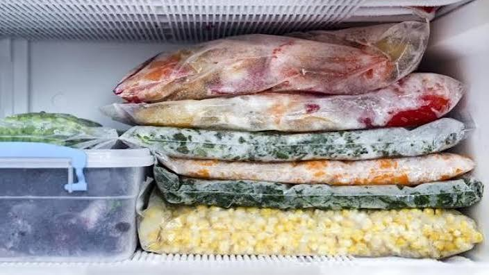 CONGELADOS