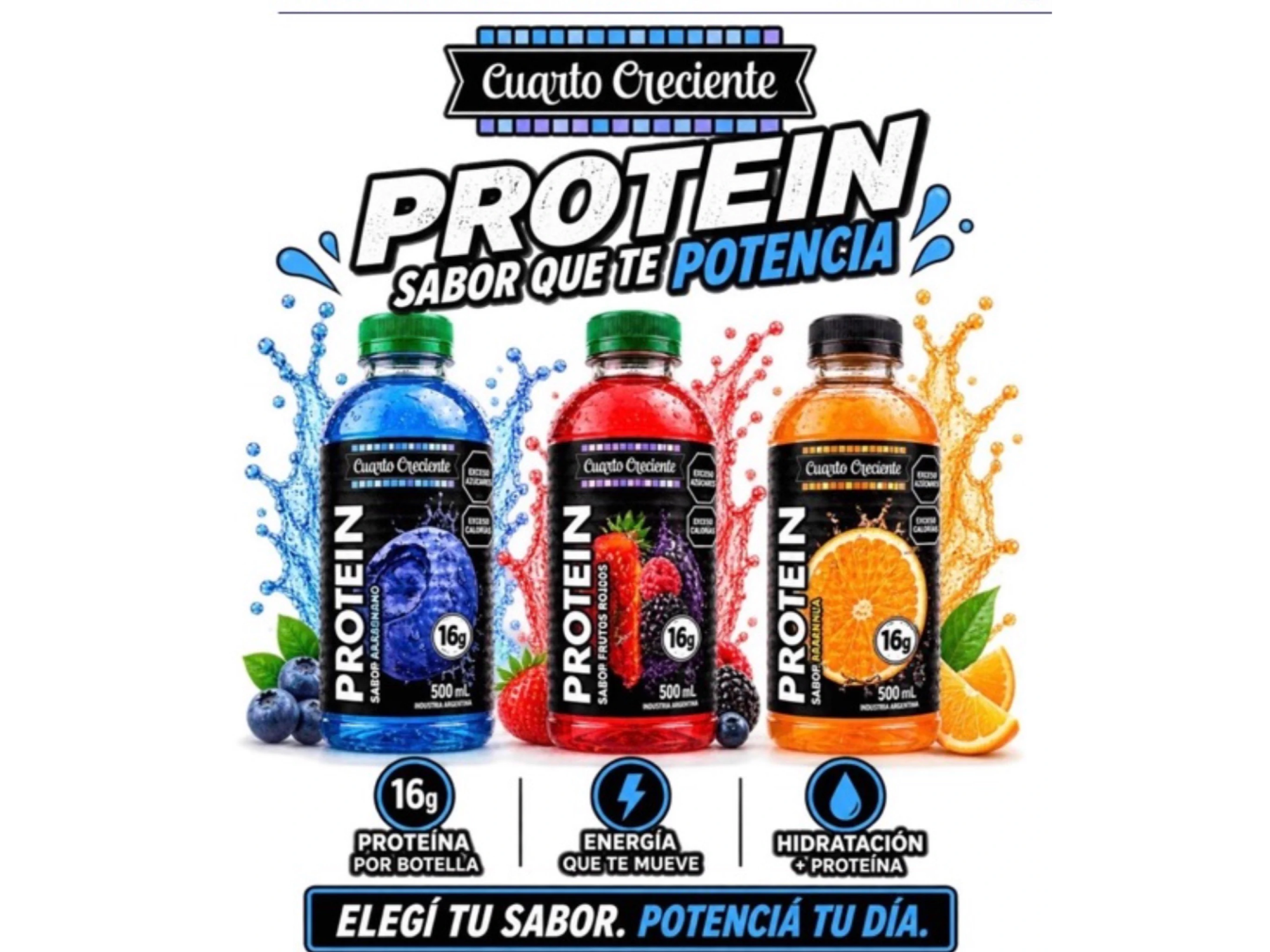 BEBIDA PROTEICA FRUTOS ROJOS 500CC- CUARTO CREICENTE (Copia)