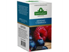 TE - BLUEBERRY Y RASPBERRY - SAINT GOTTARD