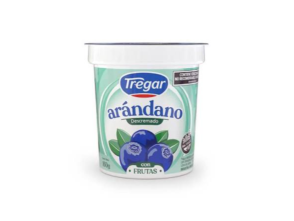 YOGUR - DESCREMADO ARANDANOS 160 GR - TREGAR