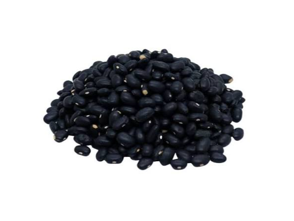 POROTO NEGRO