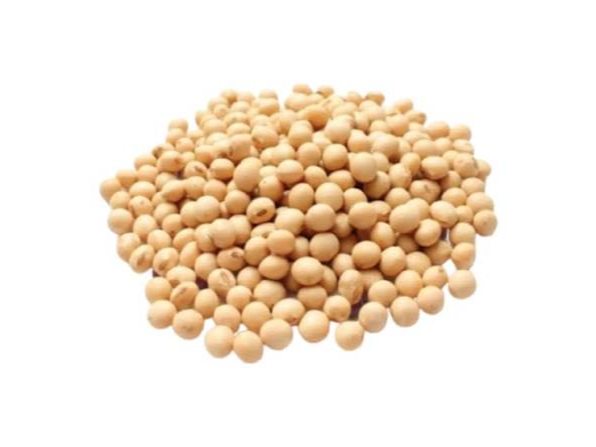 POROTO DE SOJA