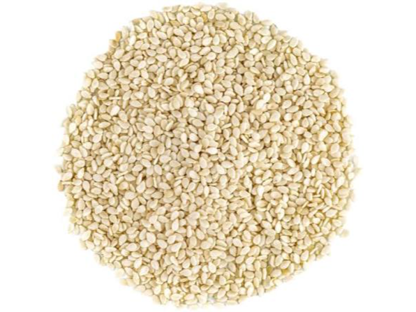 SESAMO BLANCO