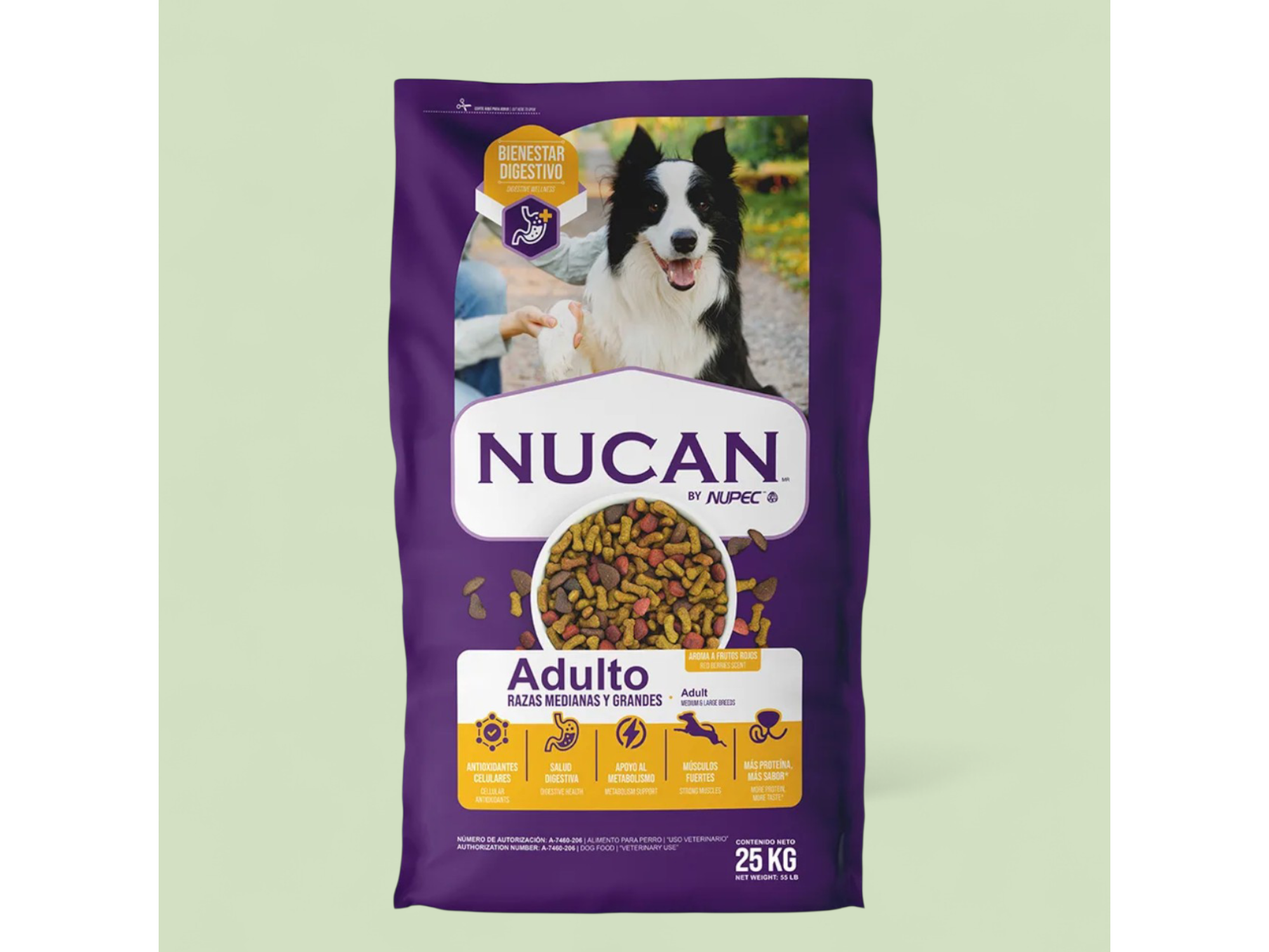 NUCAN