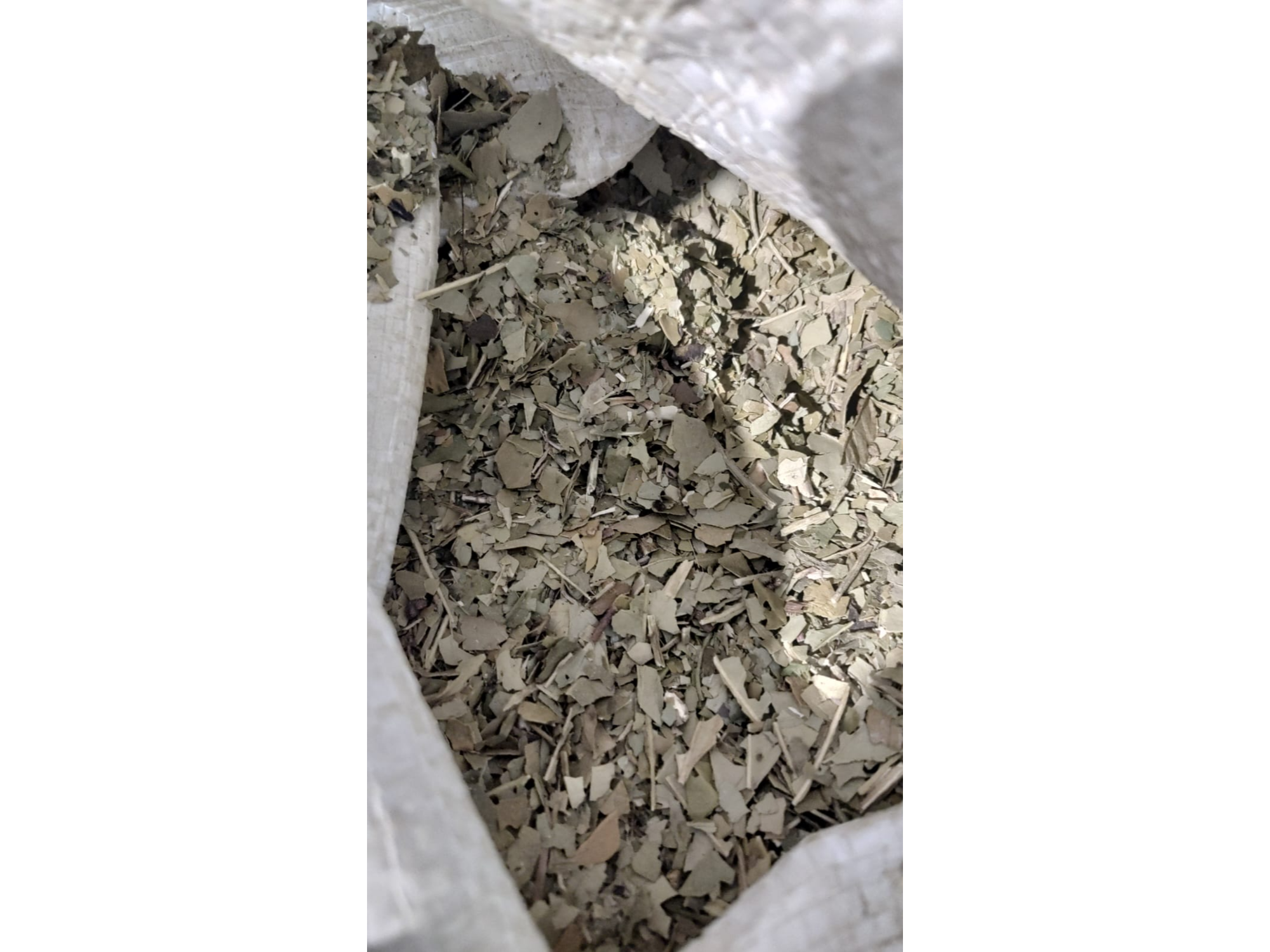 DESPALADA GRUESA SECADO A CINTA X 10 KG
