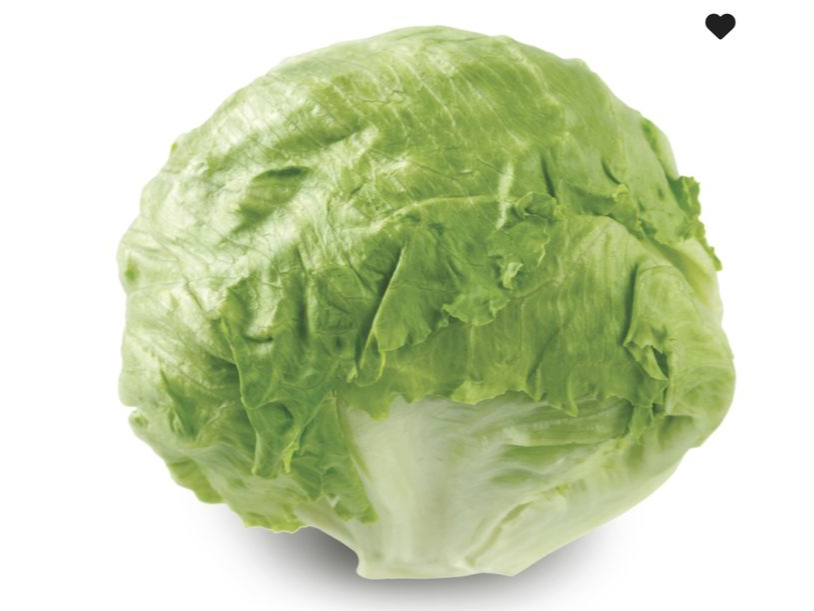 Lechuga repollada x kg