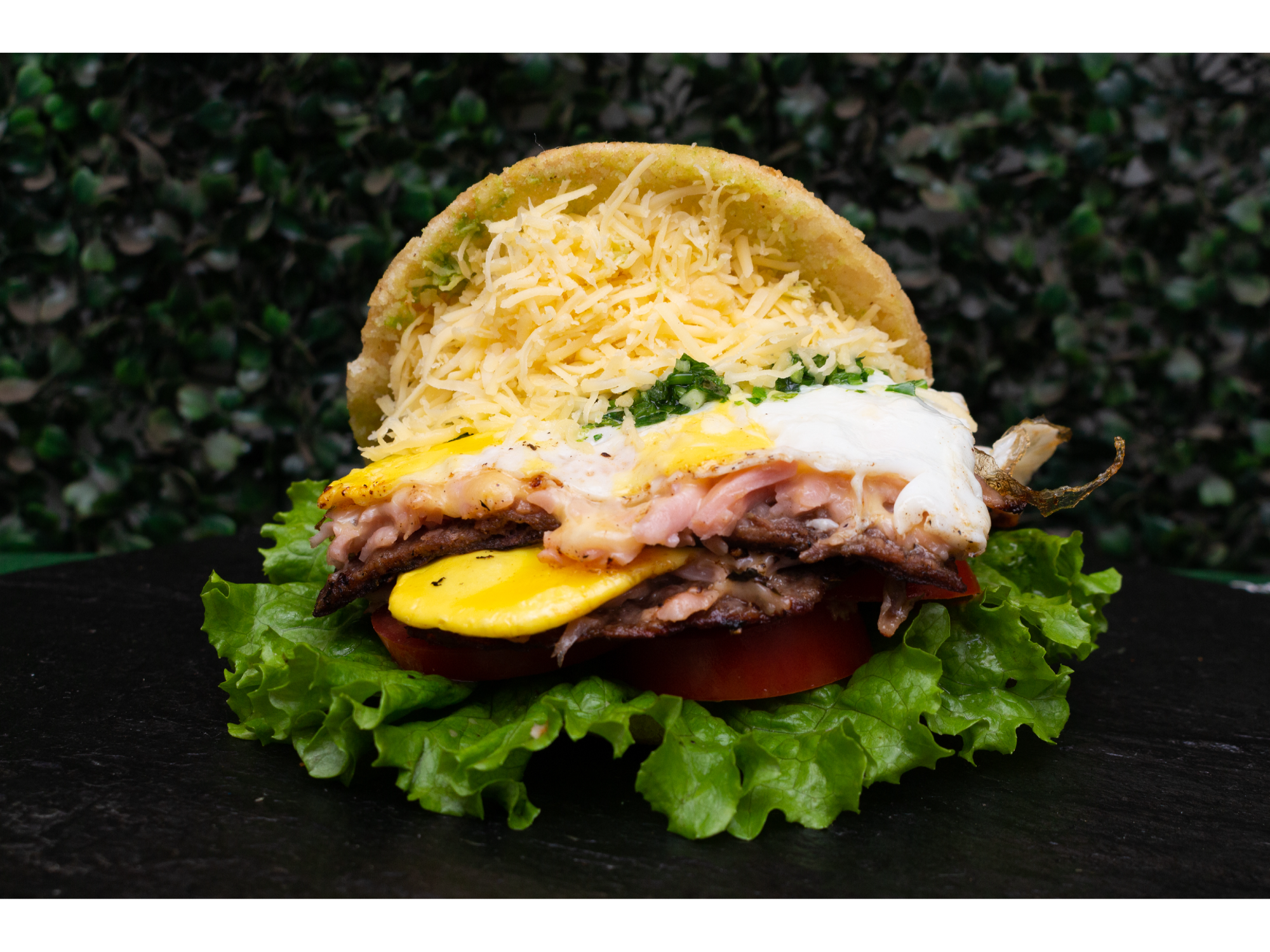 LOMO AREPA