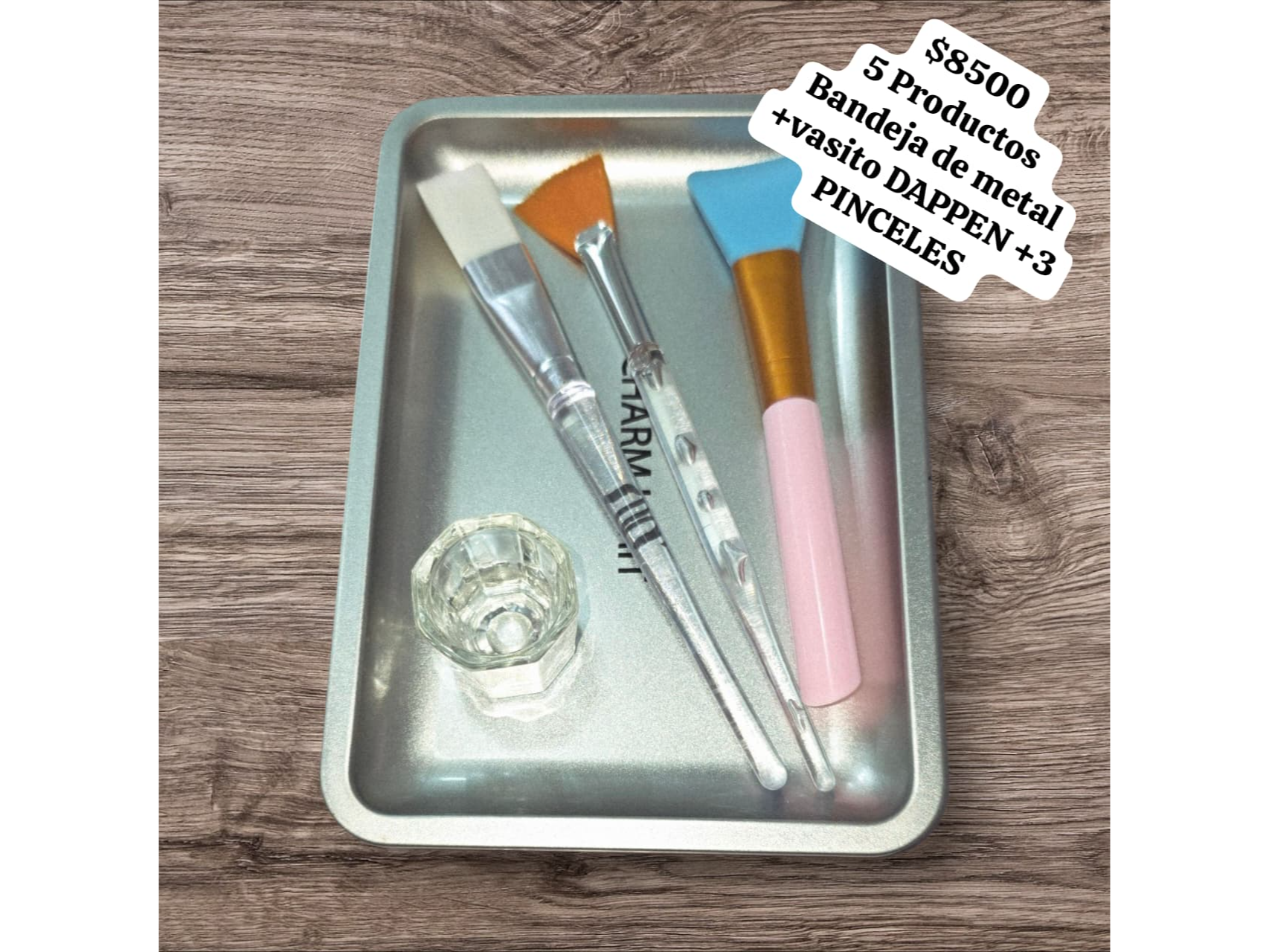 BANDEJA +DAPPEN +PINCELES