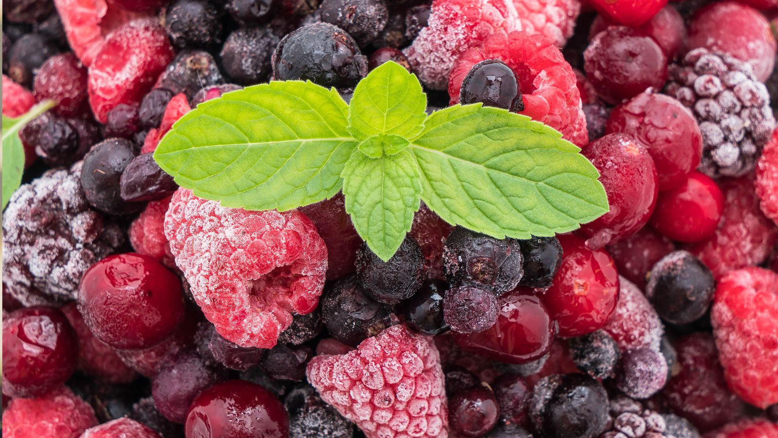 FRUTAS/VERDURAS CONGELADAS
