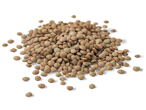LENTEJAS PREMIUM