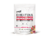 CREATINA MICRONIZADA ENA FRUIT PUNCH 300GR