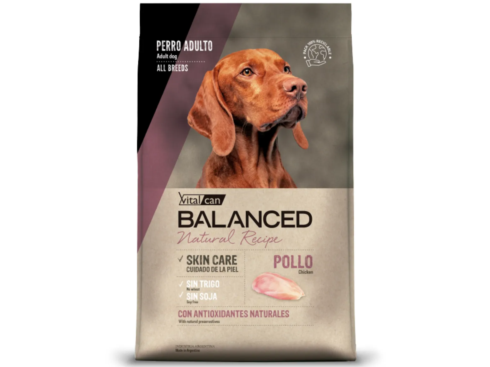 Balanced Natural Recipe Perro 15kg POLLO