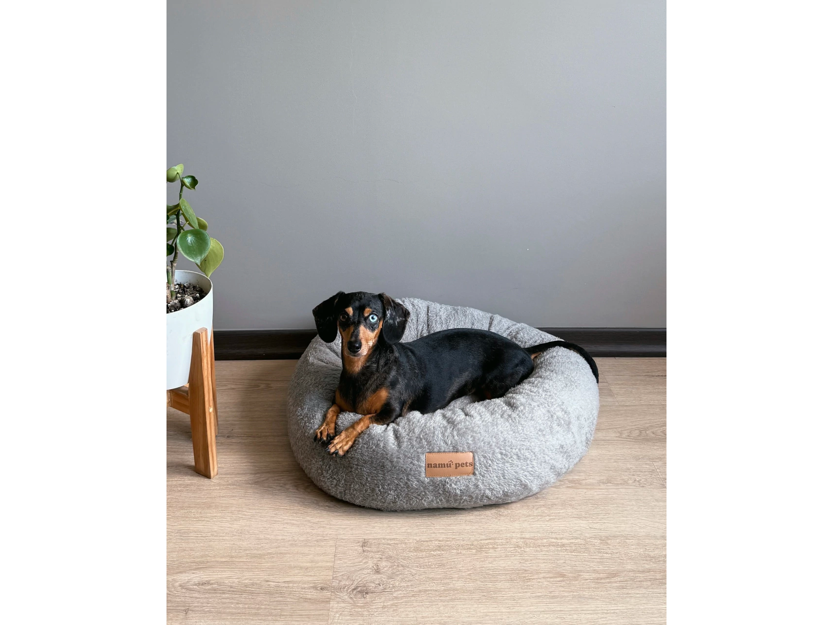 Namu Antiestrés Pelo Corto