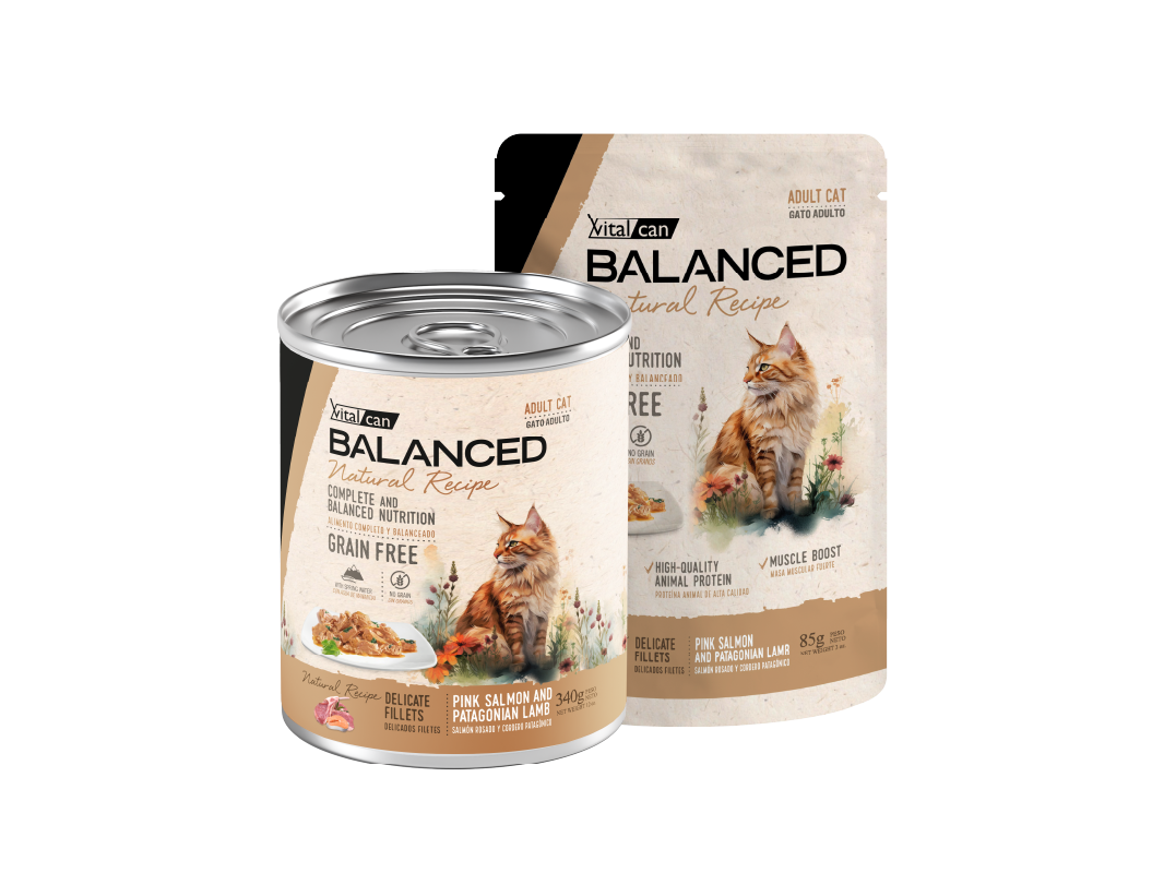 Balanced Natural Recipe Húmedos Gato Adulto Salmón y Cordero
