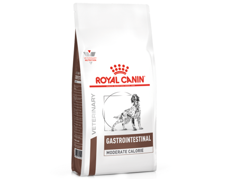 Royal Canin Gastrointestinal Perro 10kg