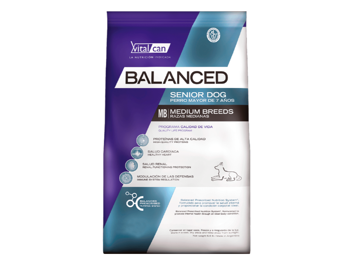 Balanced Perro Senior Mediano