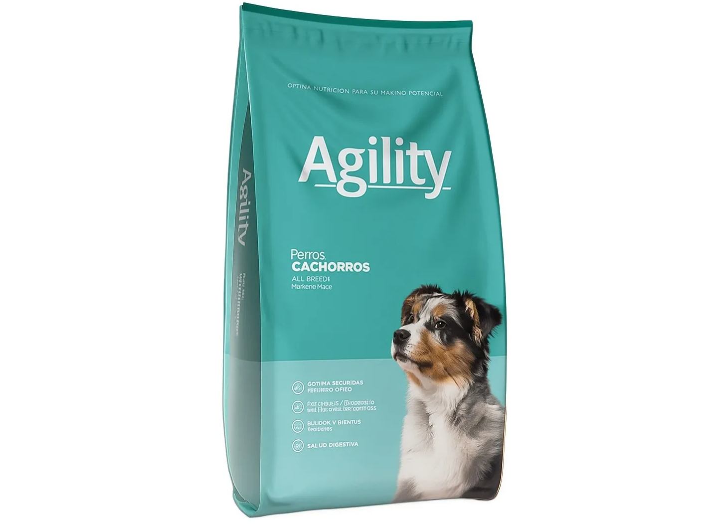 Agility Perro Cachorro