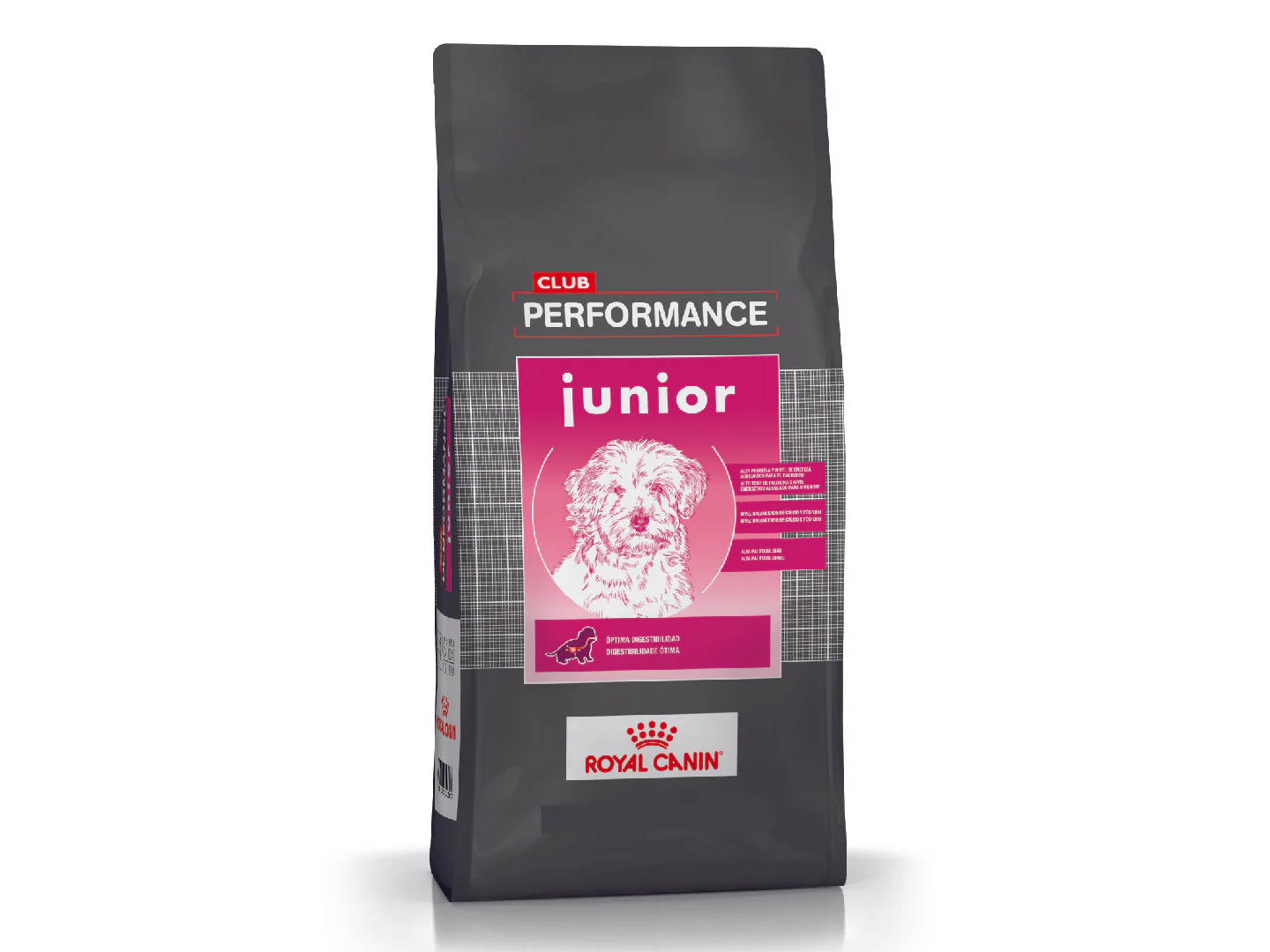 Club Performance Perro Junior x 15kg
