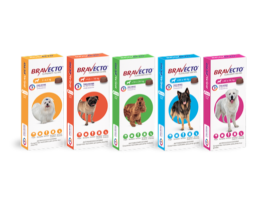 Bravecto Antiparasitario Externo de CHESTERPETSHOP