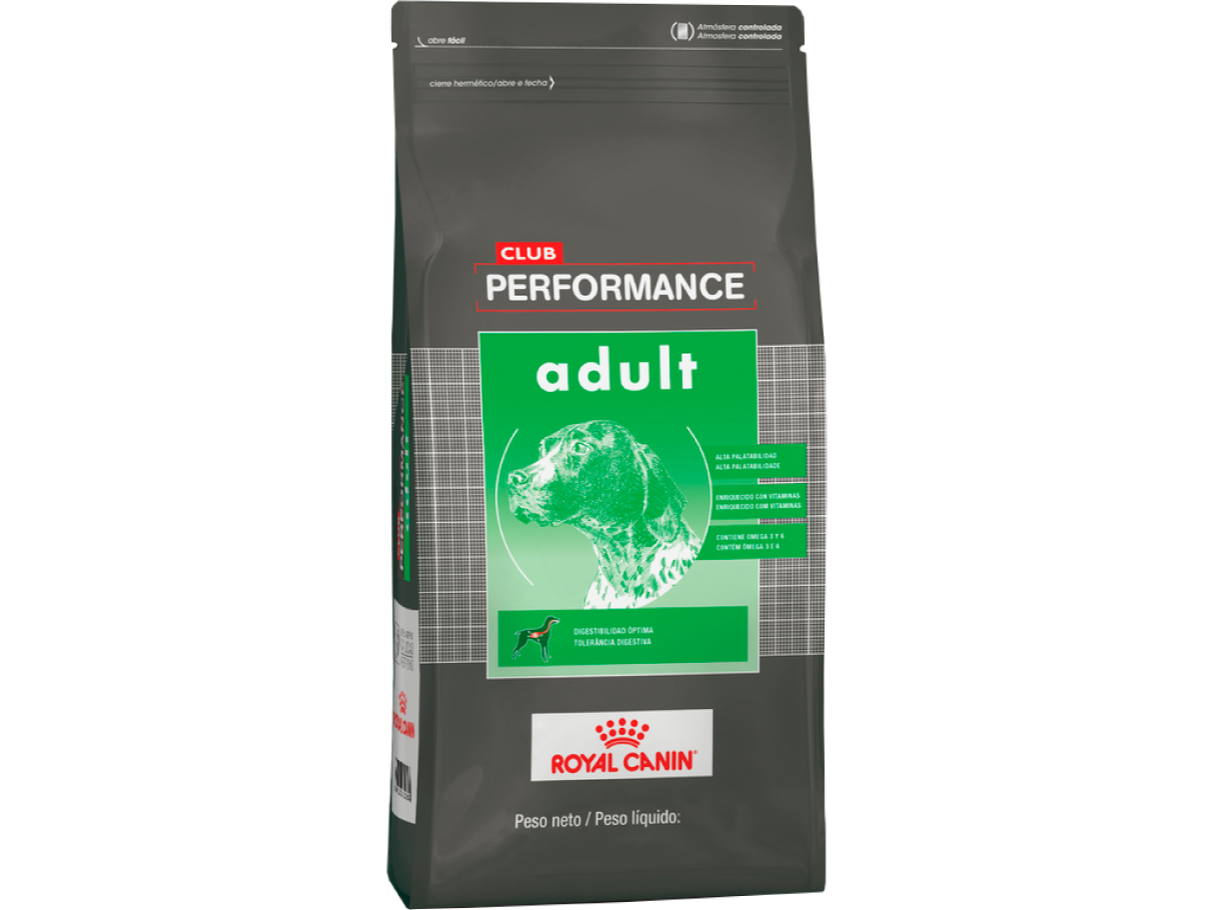 Club Performance Perro adulto