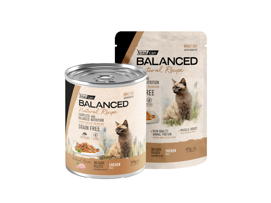 Balanced Natural Recipe Húmedos Gato Adulto Pollo