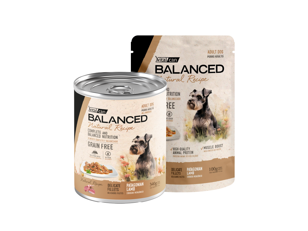 Balanced Natural Recipe Húmedos Perro Adulto Cordero