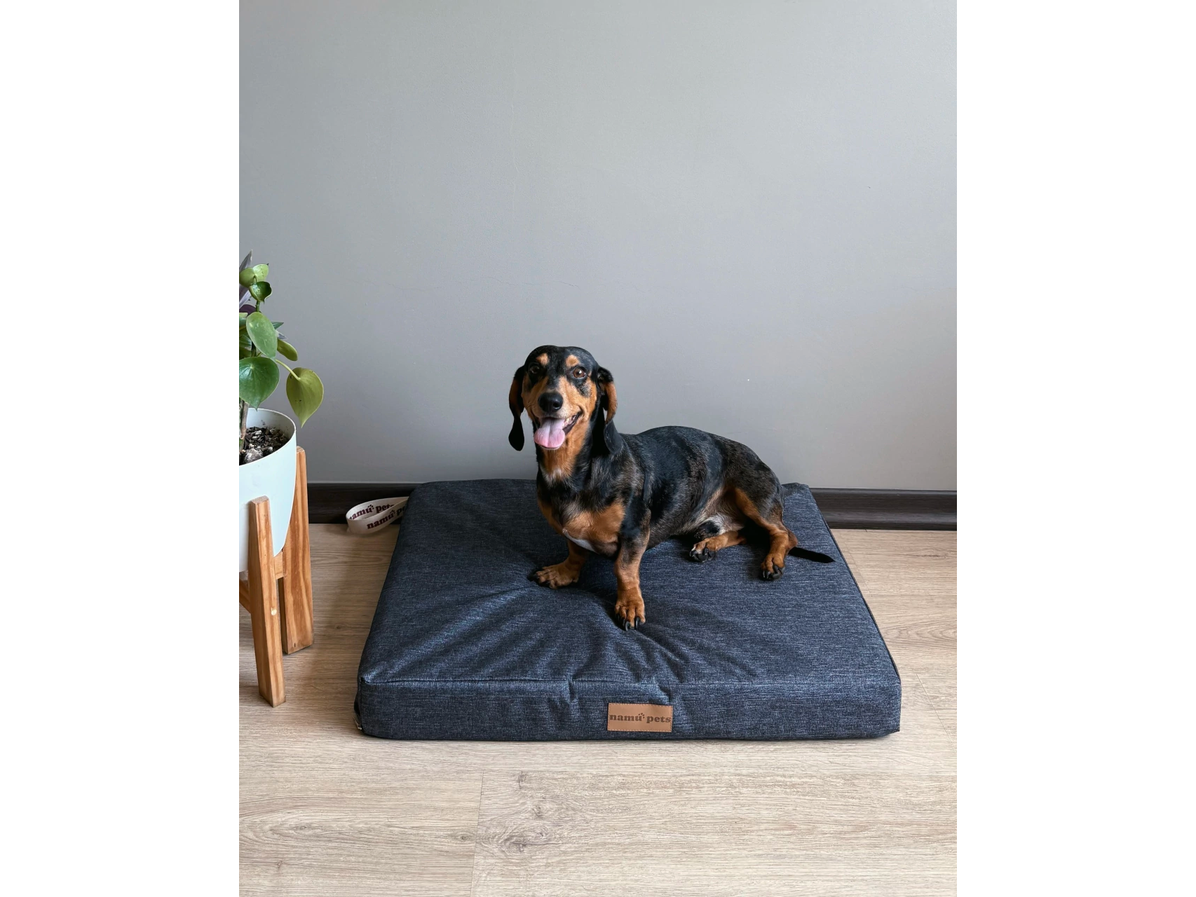 Namu Colchoncito Tododerreno