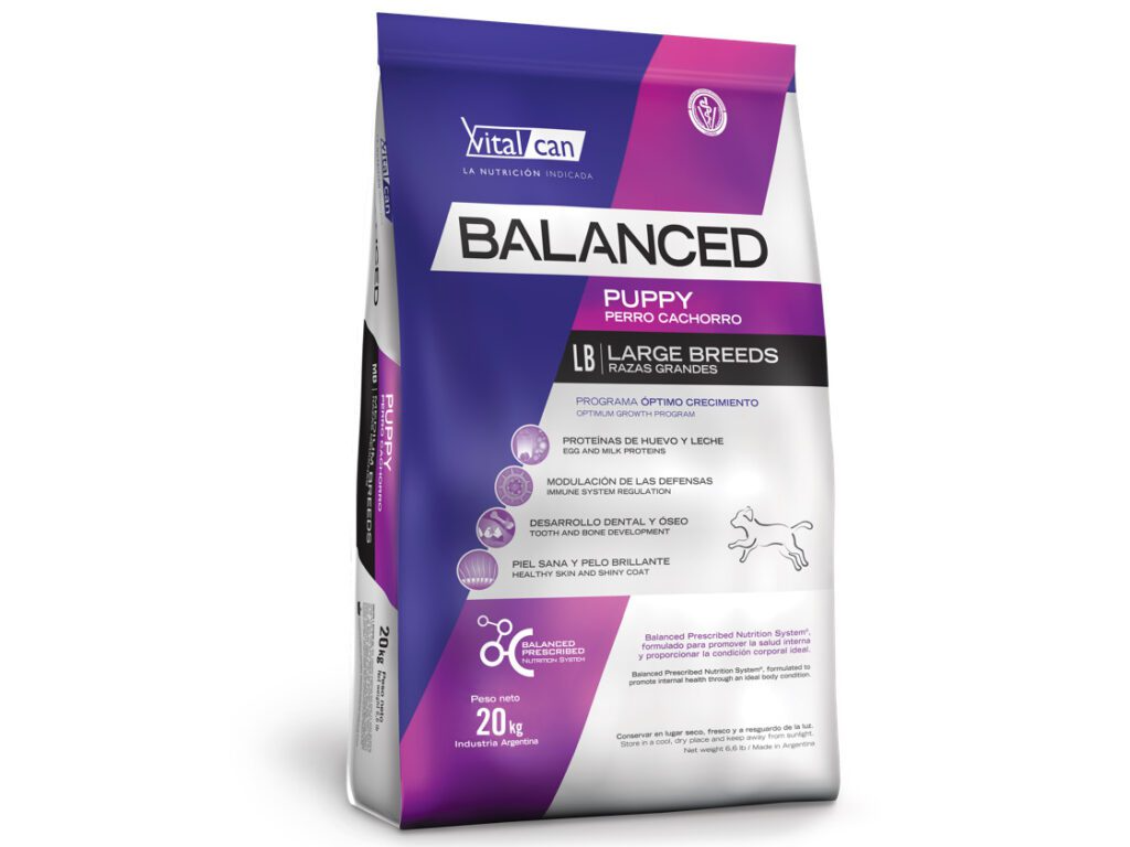 Balanced Perro Cachorro Raza Grande