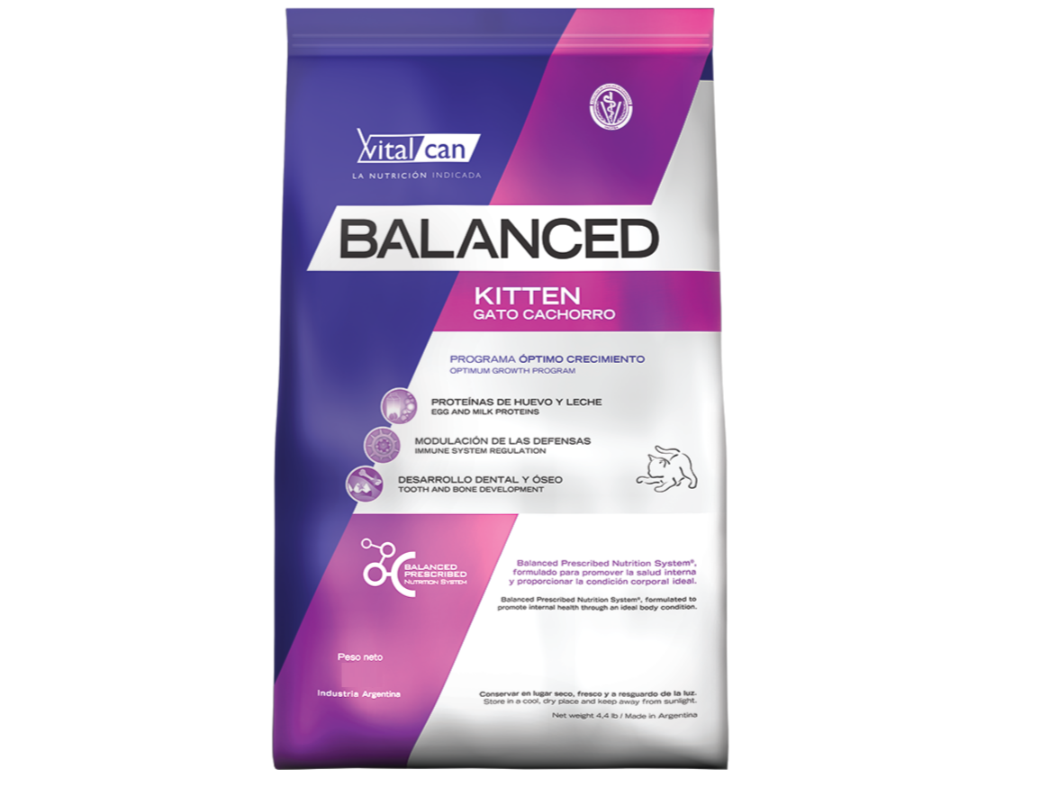 Balanced Gato Kitten