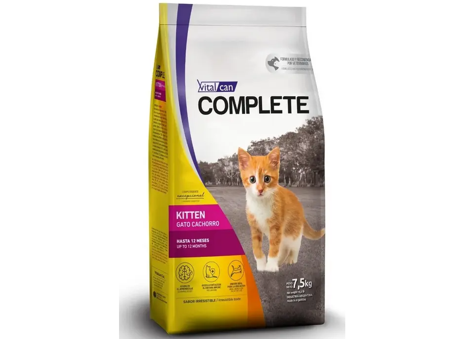 Complete Gato Kitten