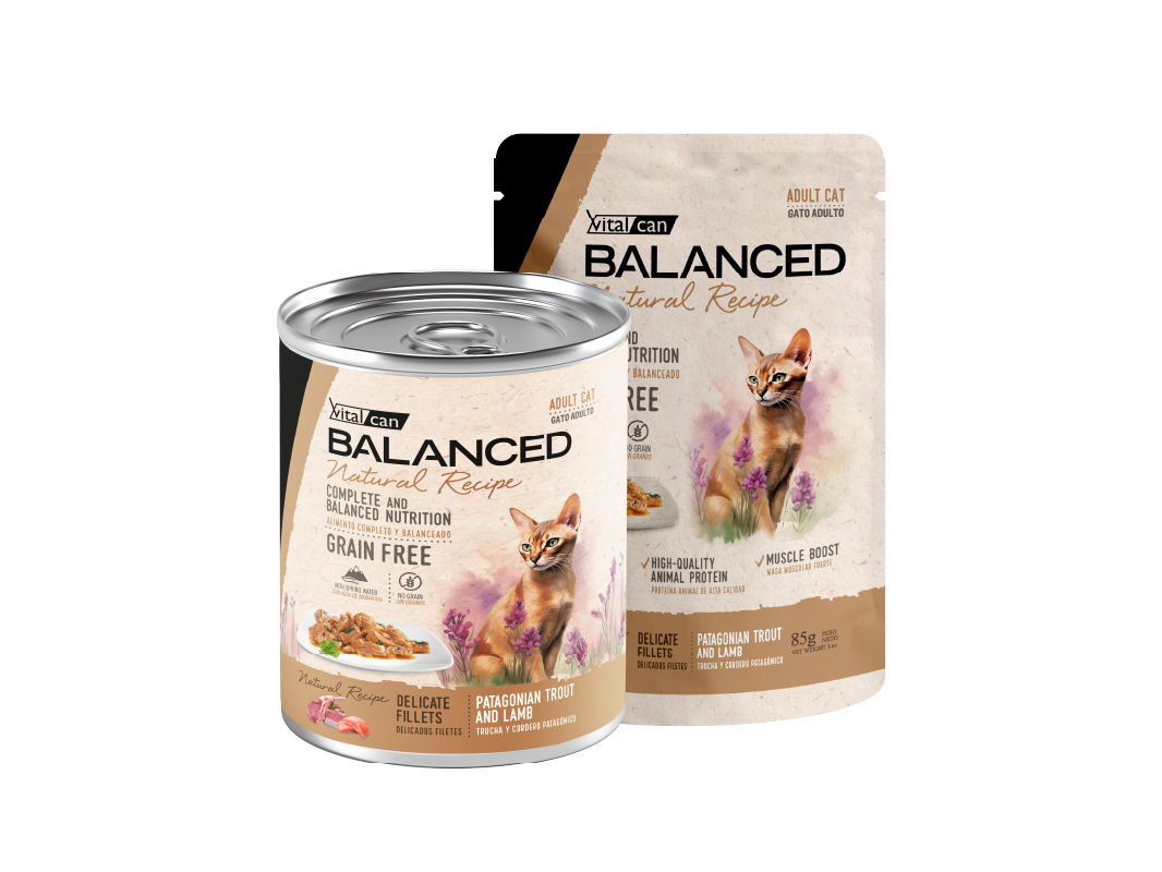 Balanced Natural Recipe Húmedos Gato Adulto Trucha y Cordero