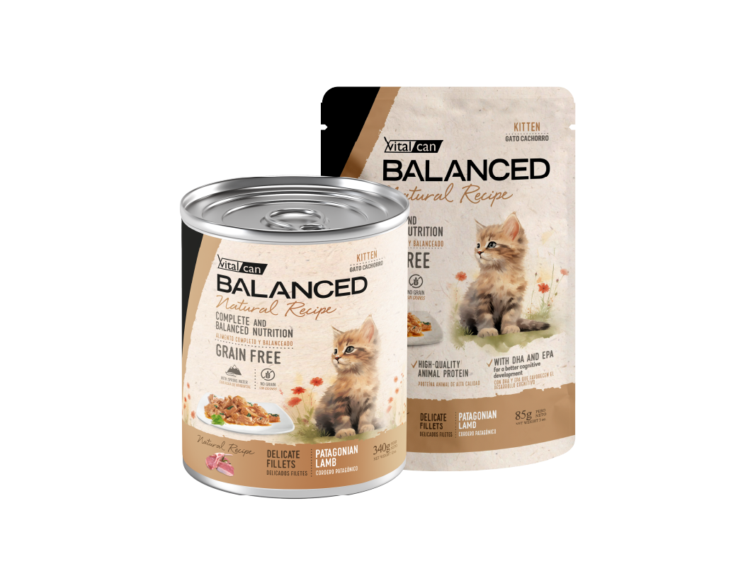 Balanced Natural Recipe Húmedos Gato Cachorro Cordero