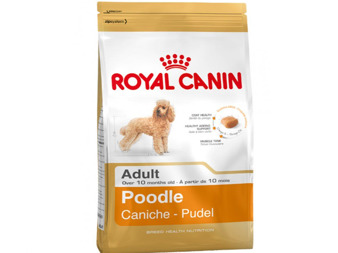 Royal Canin Caniche Adulto 3kg