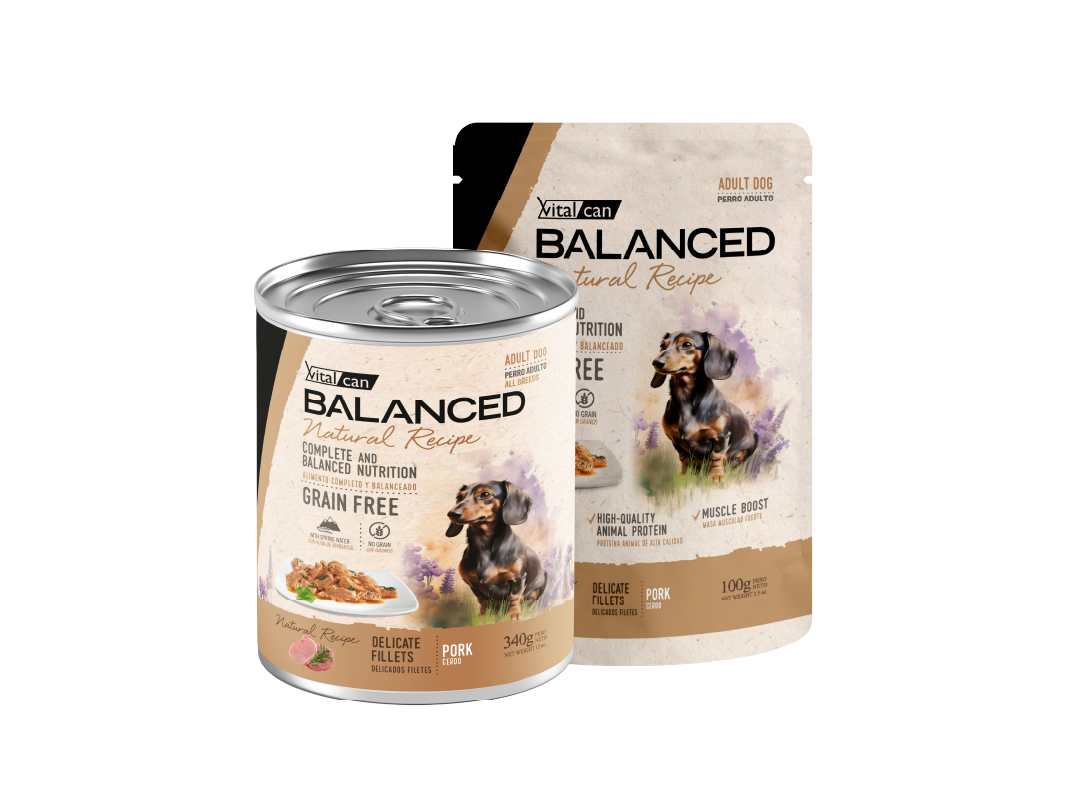 Balanced Natural Recipe Húmedos Perro Adulto Cerdo