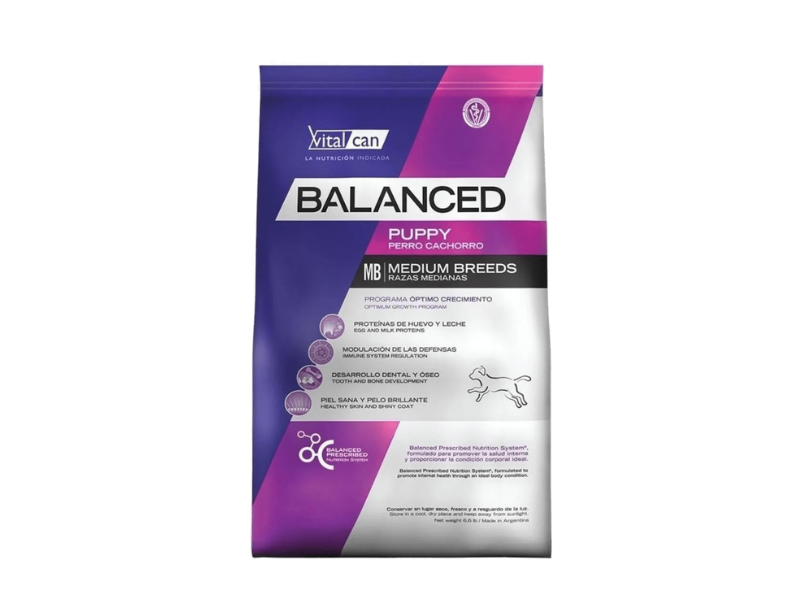 Balanced Perro Cachorro Raza Mediana