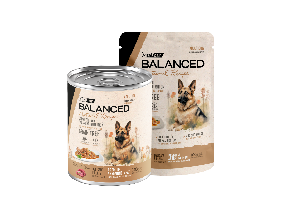 Balanced Natural Recipe Húmedos  Perro Adulto Carne