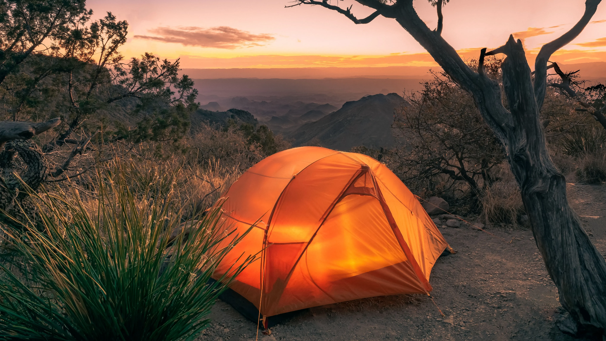 CAMPING 🏕️
