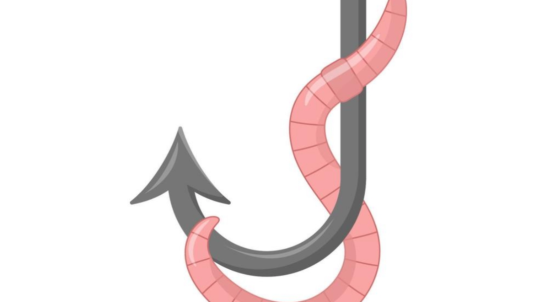 CARNADAS