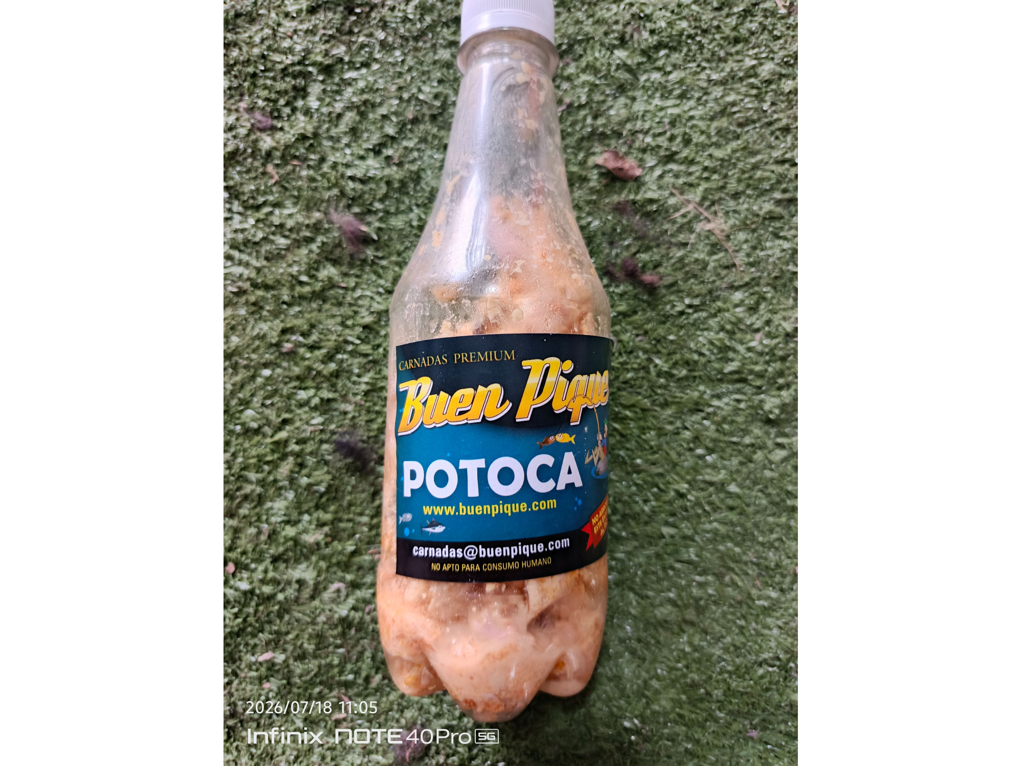 Potoca