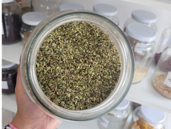 Oregano