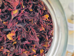 Flor de Jamaica - Hibiscus