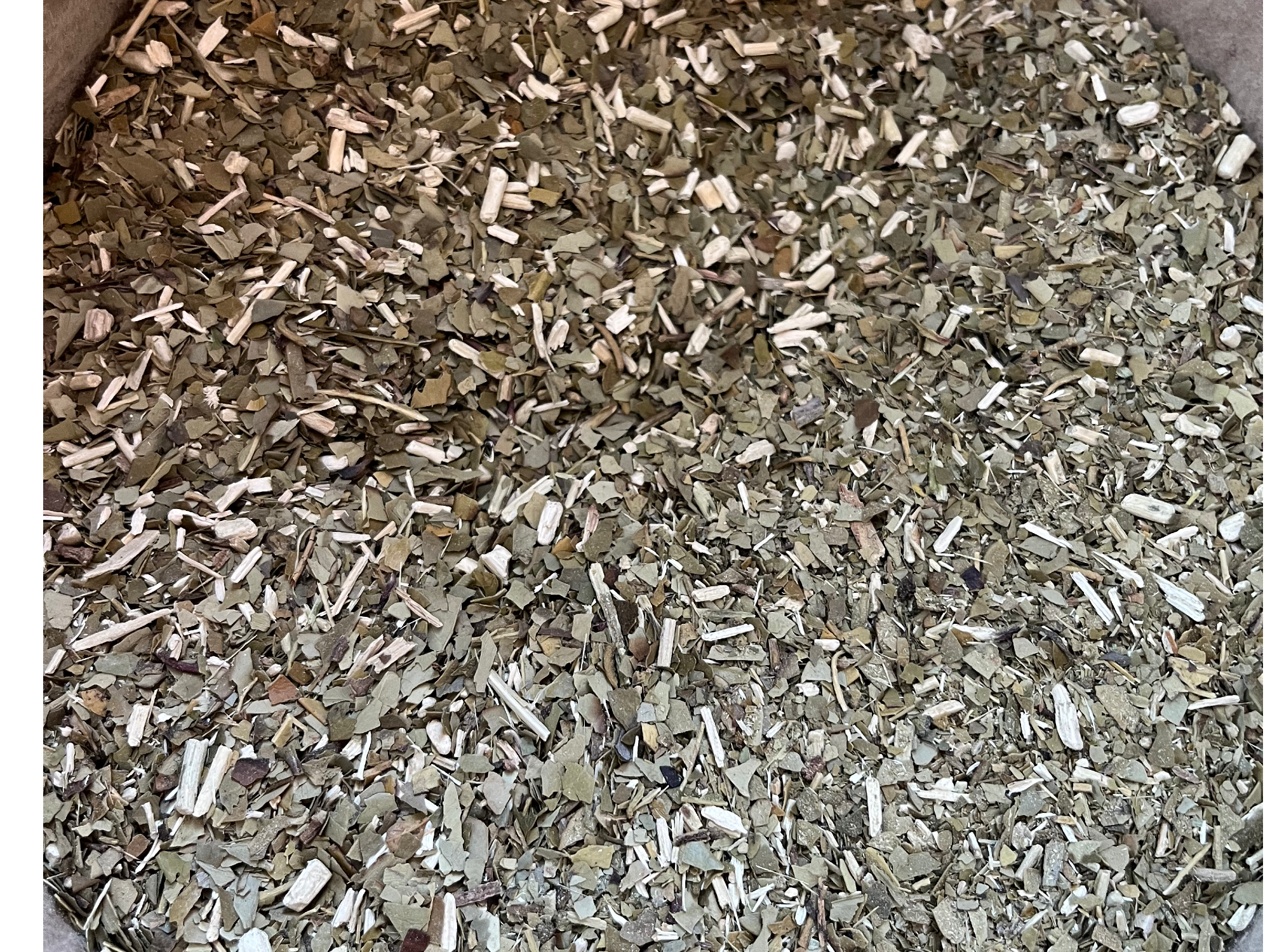 Yerba tucangua clásica