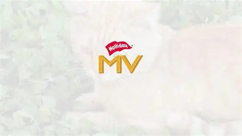 MV HOLLIDAY DIETA PRESCRIPTA PERROS