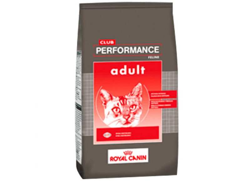 Royal Canin Performance gato 1.5kg