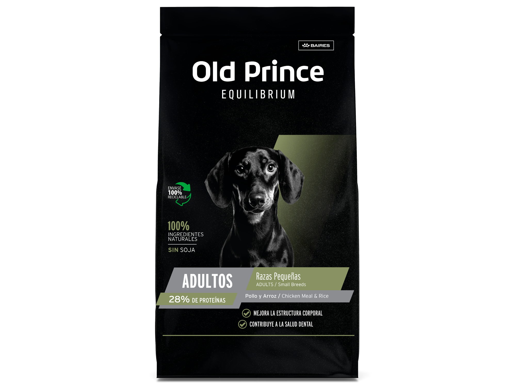 Old Prince Equilibrium Perro Adulto Mordida Pequeña