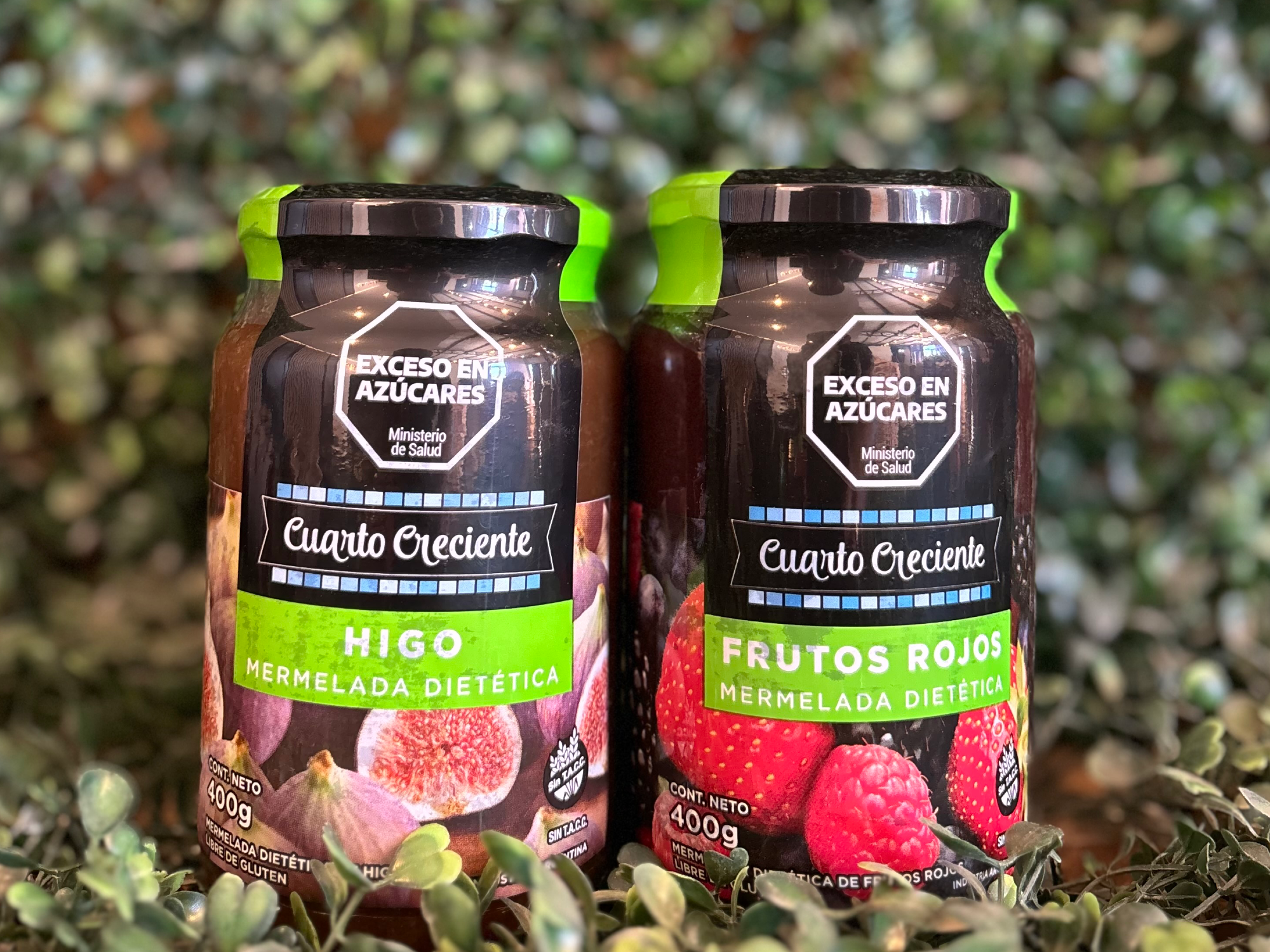 Mermelada diet x 400 gr