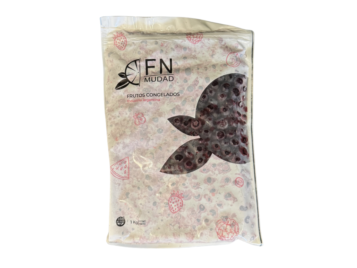 Arándano x 1kg