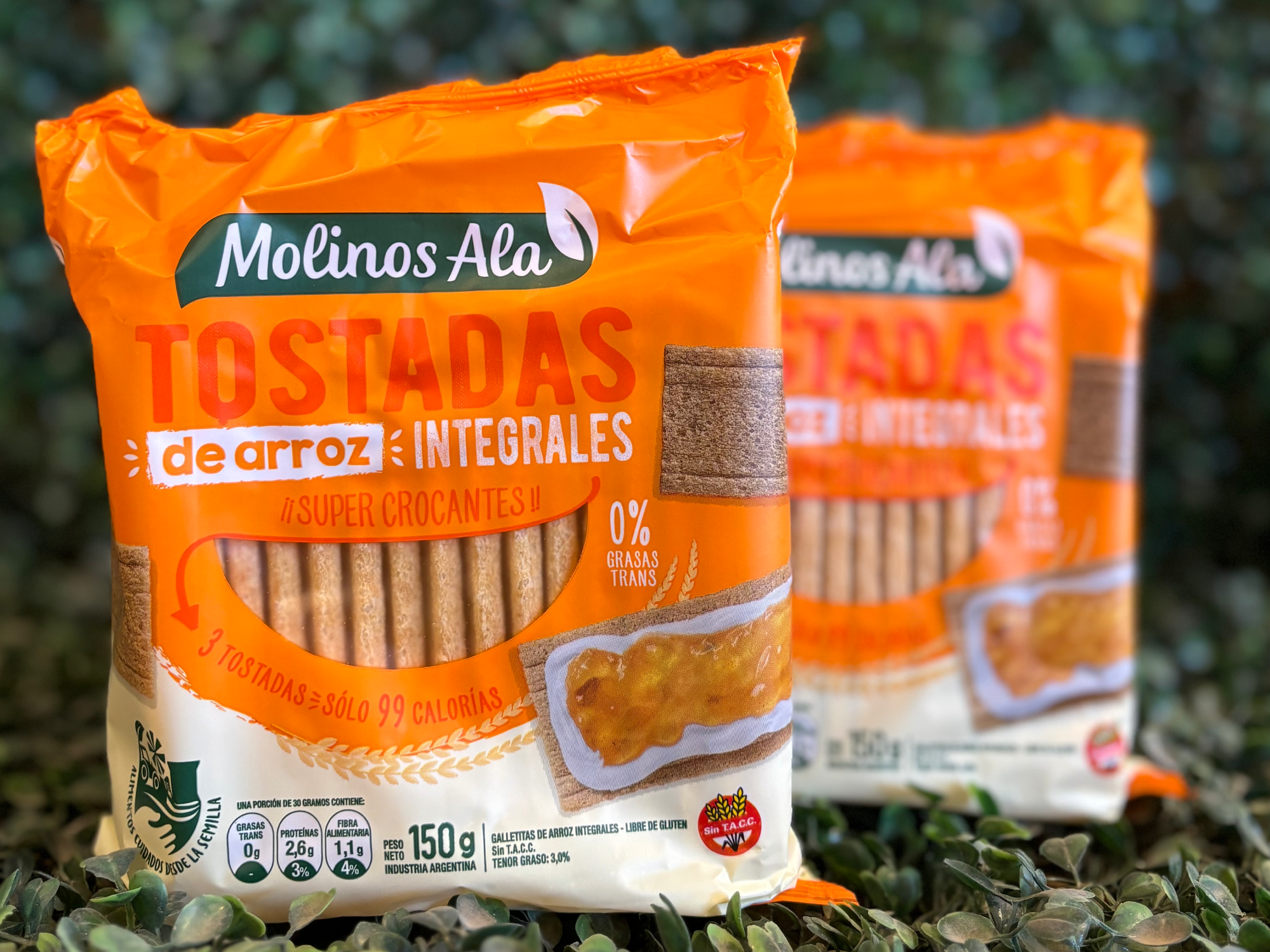 Tostadas de arroz integrales con sal x 150 gr.